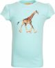 Someone ! Meisjes Shirt Korte Mouw -- Turquoise Katoen/elasthan online kopen
